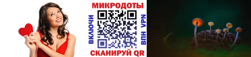 Псилоцибиновые грибы Cubensis  где купить наркоту  Яровое 